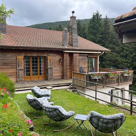 Gite Au 21 Vosgien Вантрон Екстер'єр фото